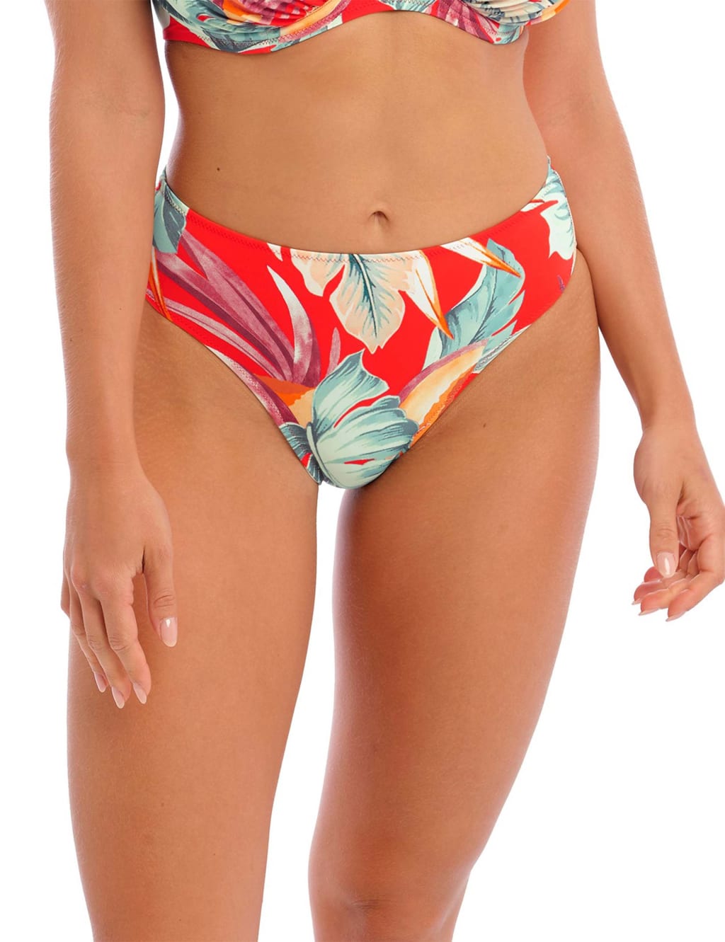 Bamboo Grove Hipster Bikini Bottoms image 1
