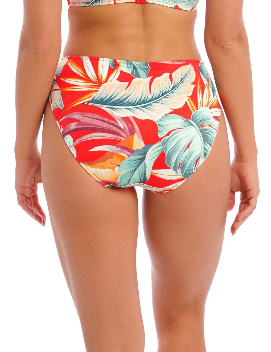 Bamboo Grove Hipster Bikini Bottoms image 5