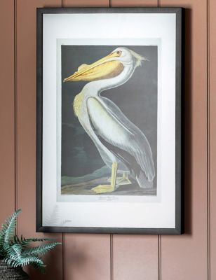 Gallery Home Inquisitive Pelican Rectangle Framed Art - Multi, Multi