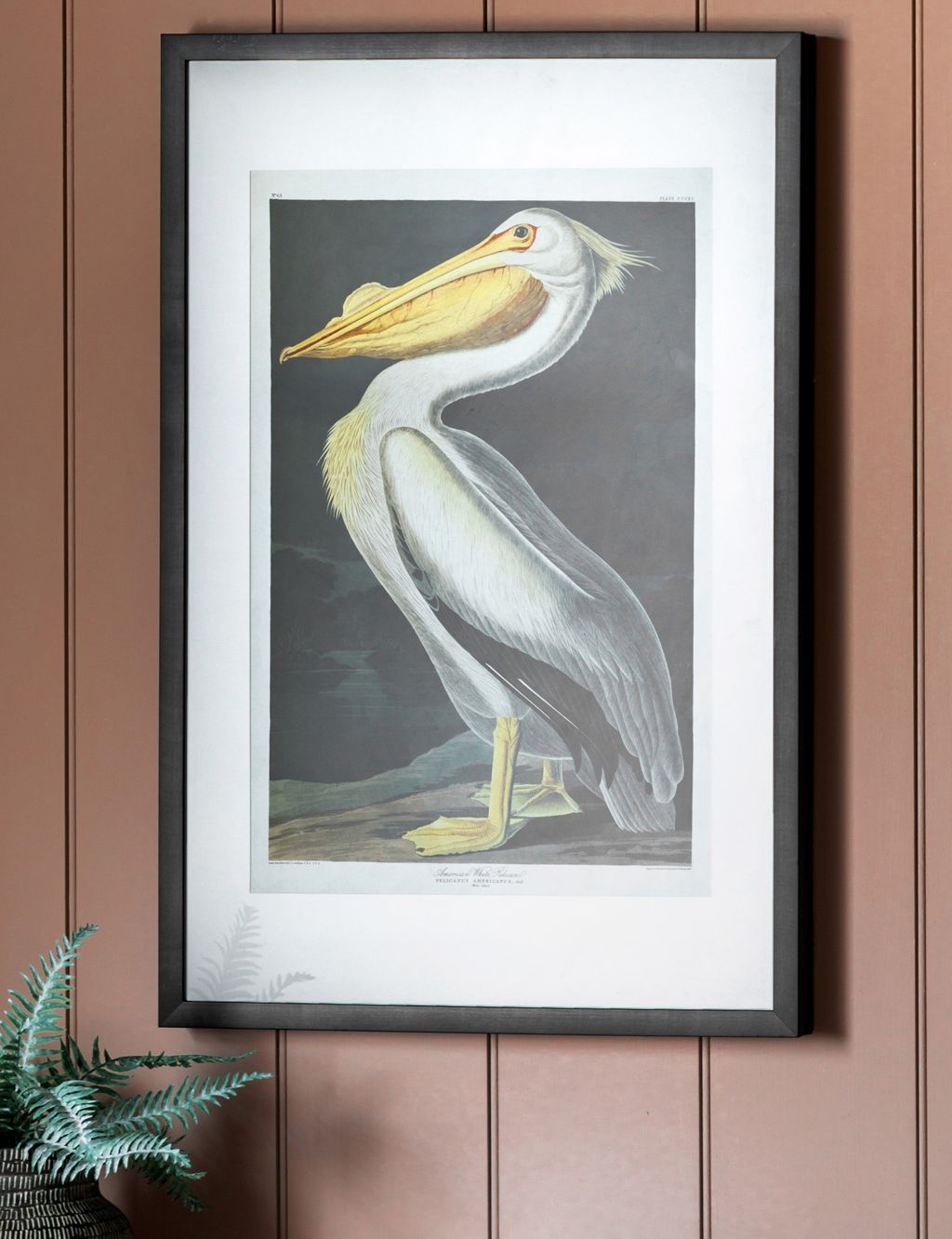 Inquisitive Pelican Rectangle Framed Art