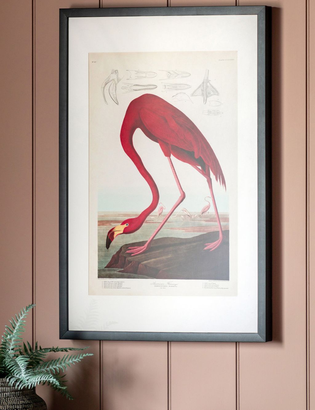 Curious Flamingo Rectangle Framed Art