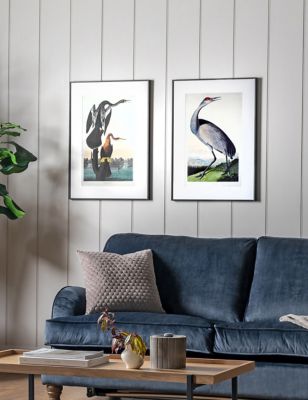 Gallery Home Set of 2 Exotic Fowl Study Rectangle Framed Art - Multi, Multi