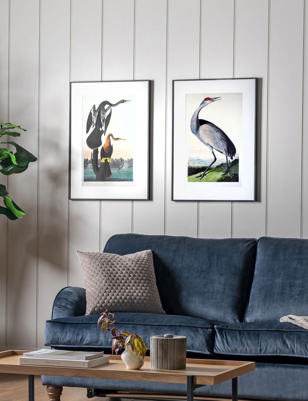 Set of 2 Exotic Fowl Study Rectangle Framed Art