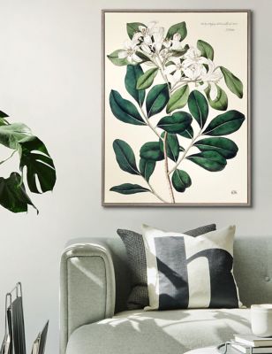 Gallery Home Foliage and Blooms Botanical Framed Art - Neutral, Neutral
