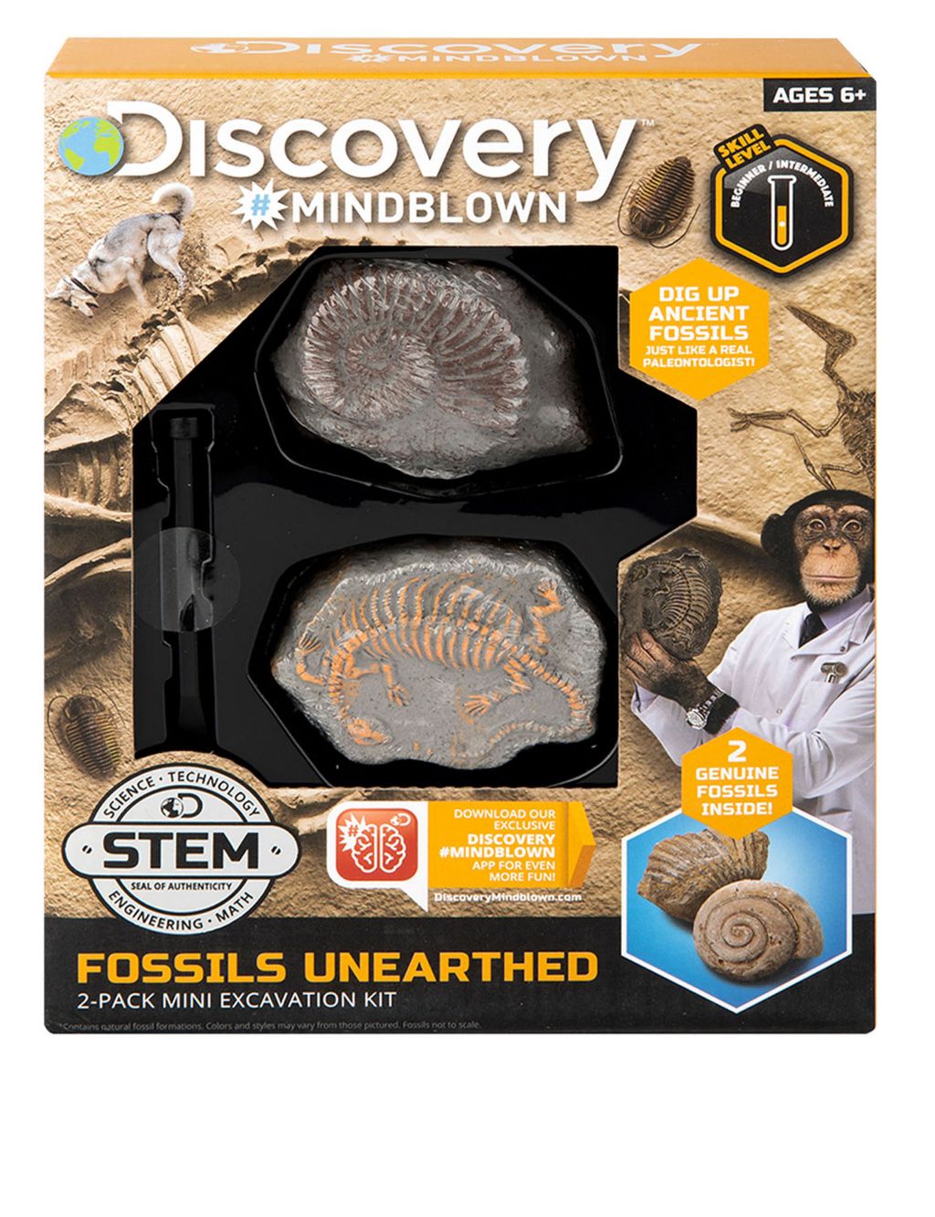 Fossil Mini Excavation Kit (6+ Yrs)