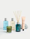 Fragrance Society Gift Collection