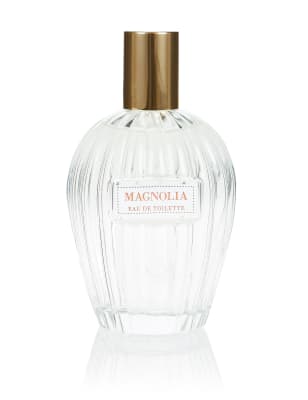 Powdery magnolia best sale 100 ml