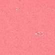 crisp - Out of stock online colour option