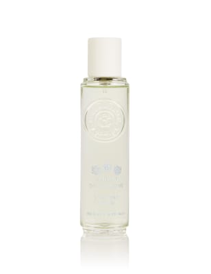 roger gallet verveine