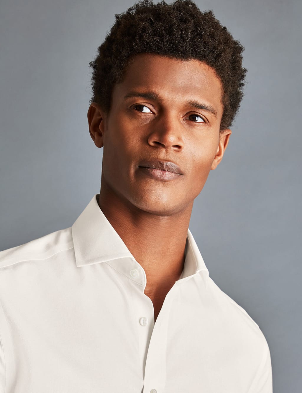 Slim Fit Non Iron Pure Cotton Twill Shirt image 2
