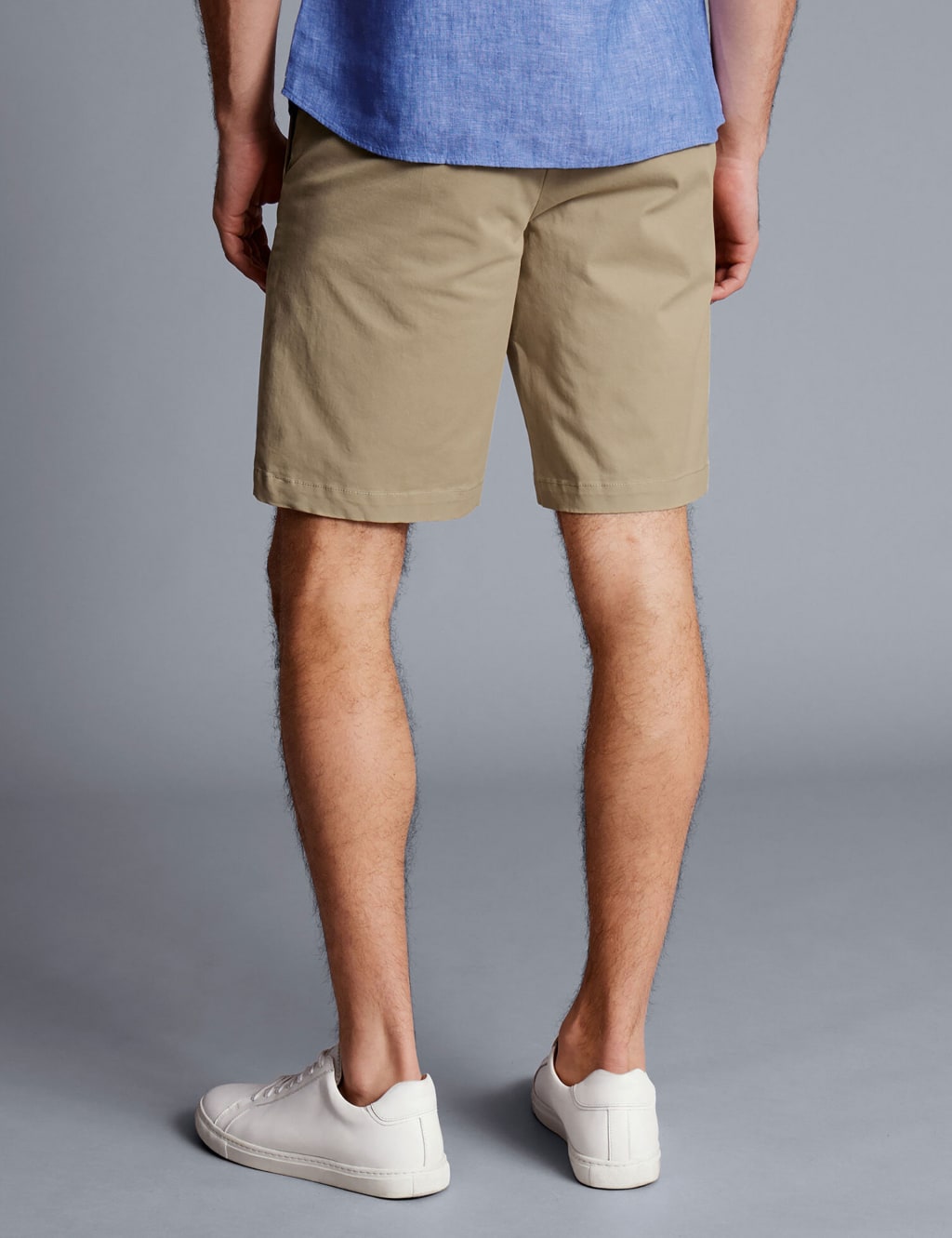 Chino Shorts image 4