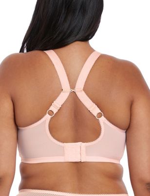 Elomi Womens Charley Lace & Mesh Wired Plunge Bra DD-J - 36E - Pink, Pink,Black,White