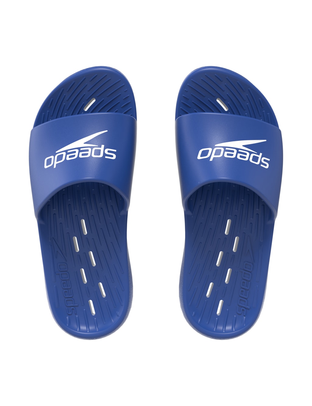 Speedo thong sale sandals women's