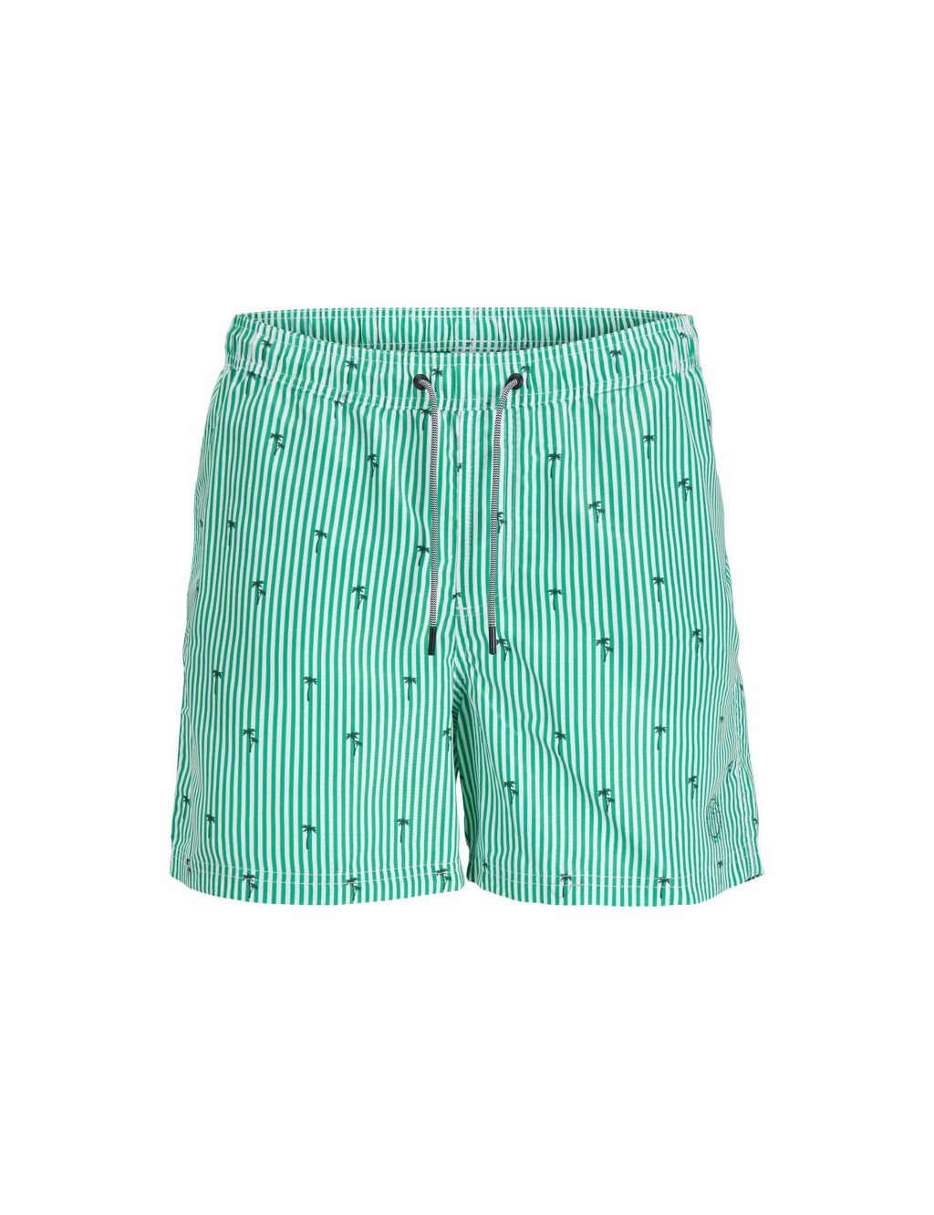 Striped Embroidered Swim Shorts