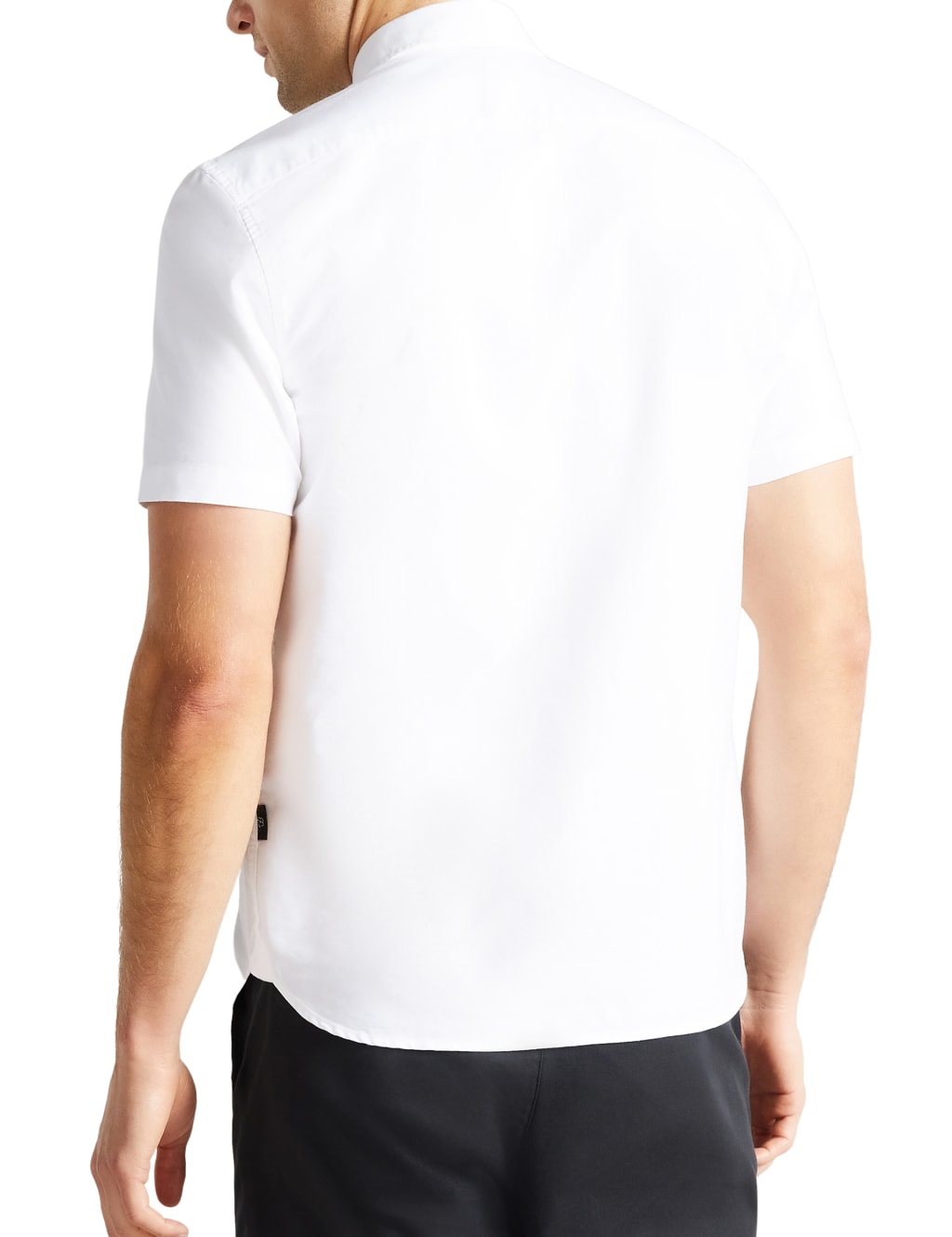 Regular Fit Cotton Rich Oxford Shirt image 4