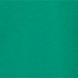 Pure Cotton Pique Tipped Polo Shirt - green