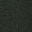 Pure Cotton Long Sleeve Polo Shirt - green