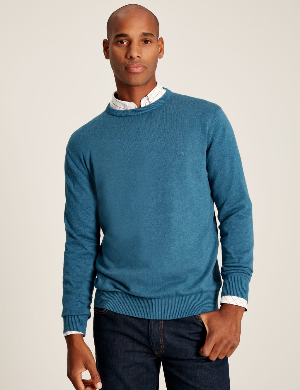 Pure Cotton Crew Neck Jumper