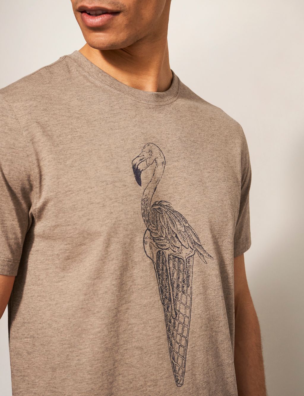 Cotton Rich Flamingo Print Crew Neck T-Shirt image 3