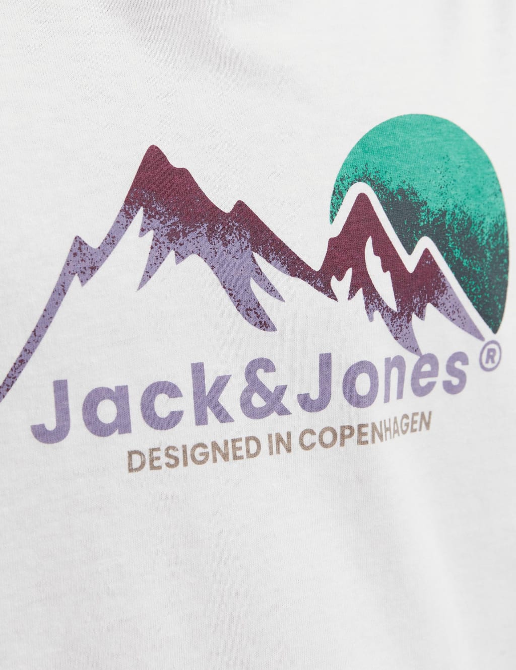 Pure Cotton Mountain Print T-Shirt (8-16 Yrs) image 4