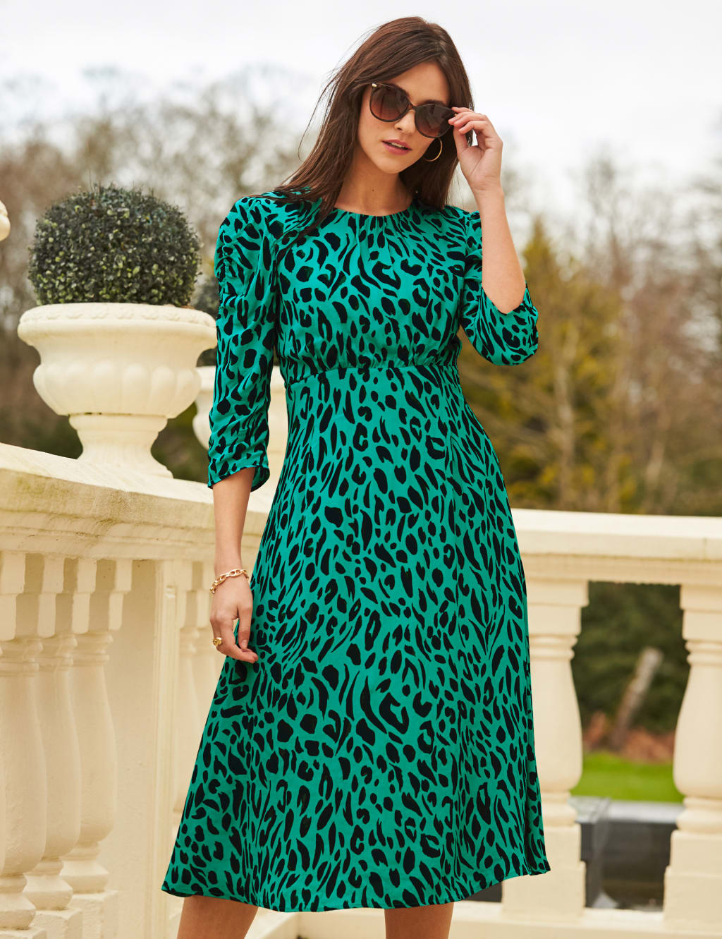 Animal Print Midi Waisted Dress image 1
