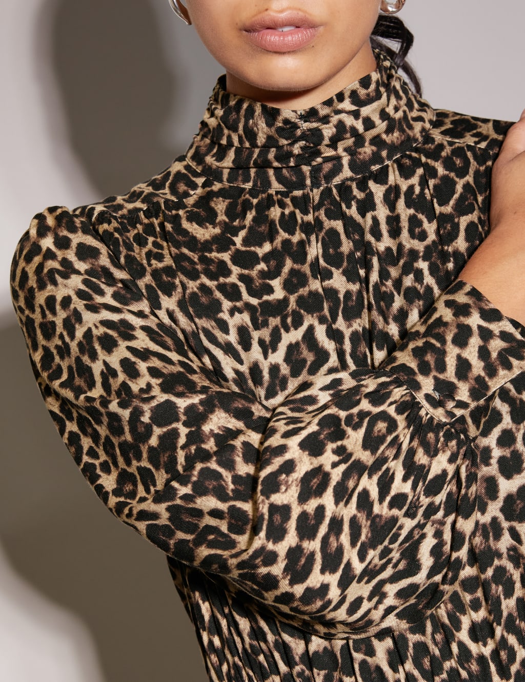 Animal Print Midi Swing Dress image 4