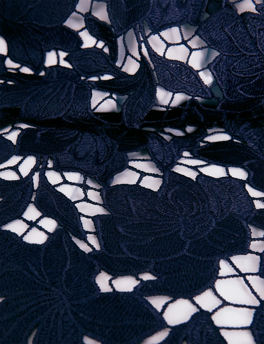 Lace Embroidered Midi Swing Dress image 7