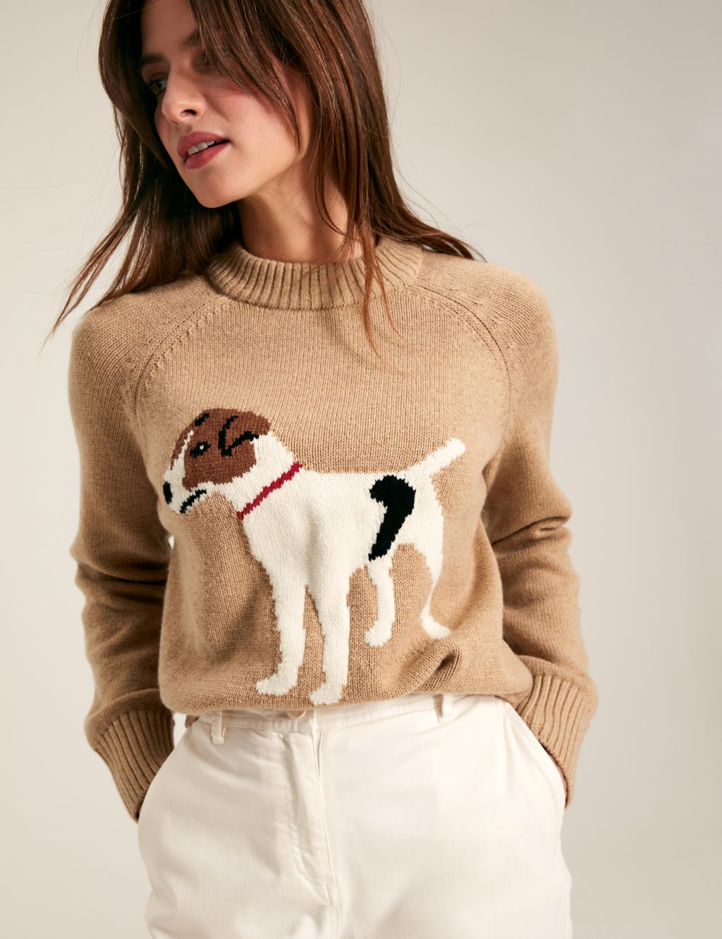 Cotton Rich Dog Round Neck Jumper with Wool