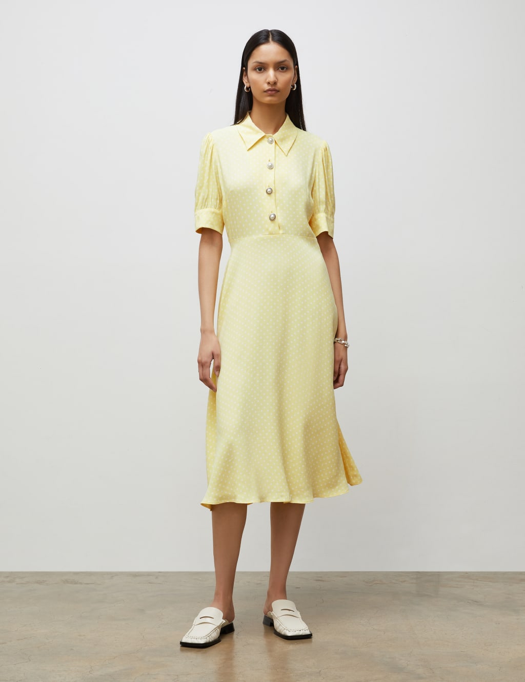 Polka Dot Midi Waisted Dress image 1