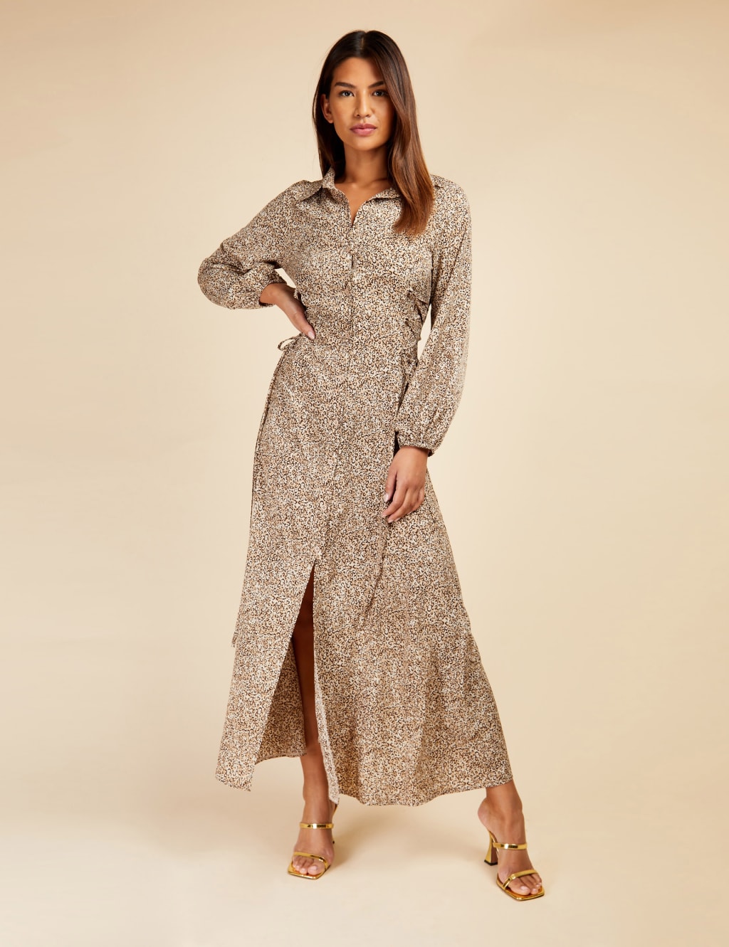 Animal Print Maxi Relaxed Shirt Dress image 6