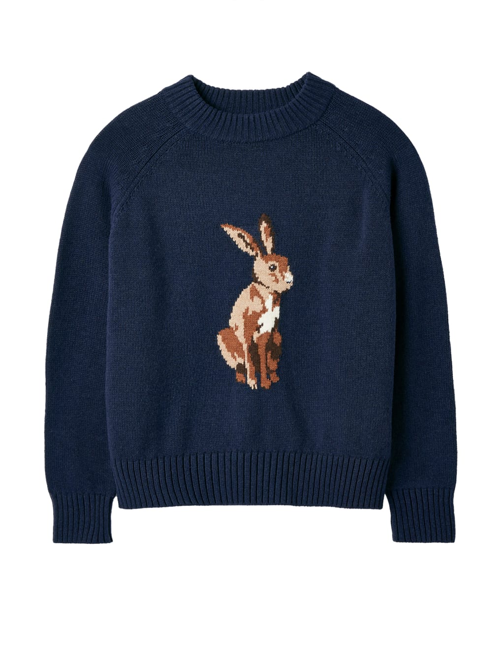 Cotton Rich Patterned Jumper with Wool image 2