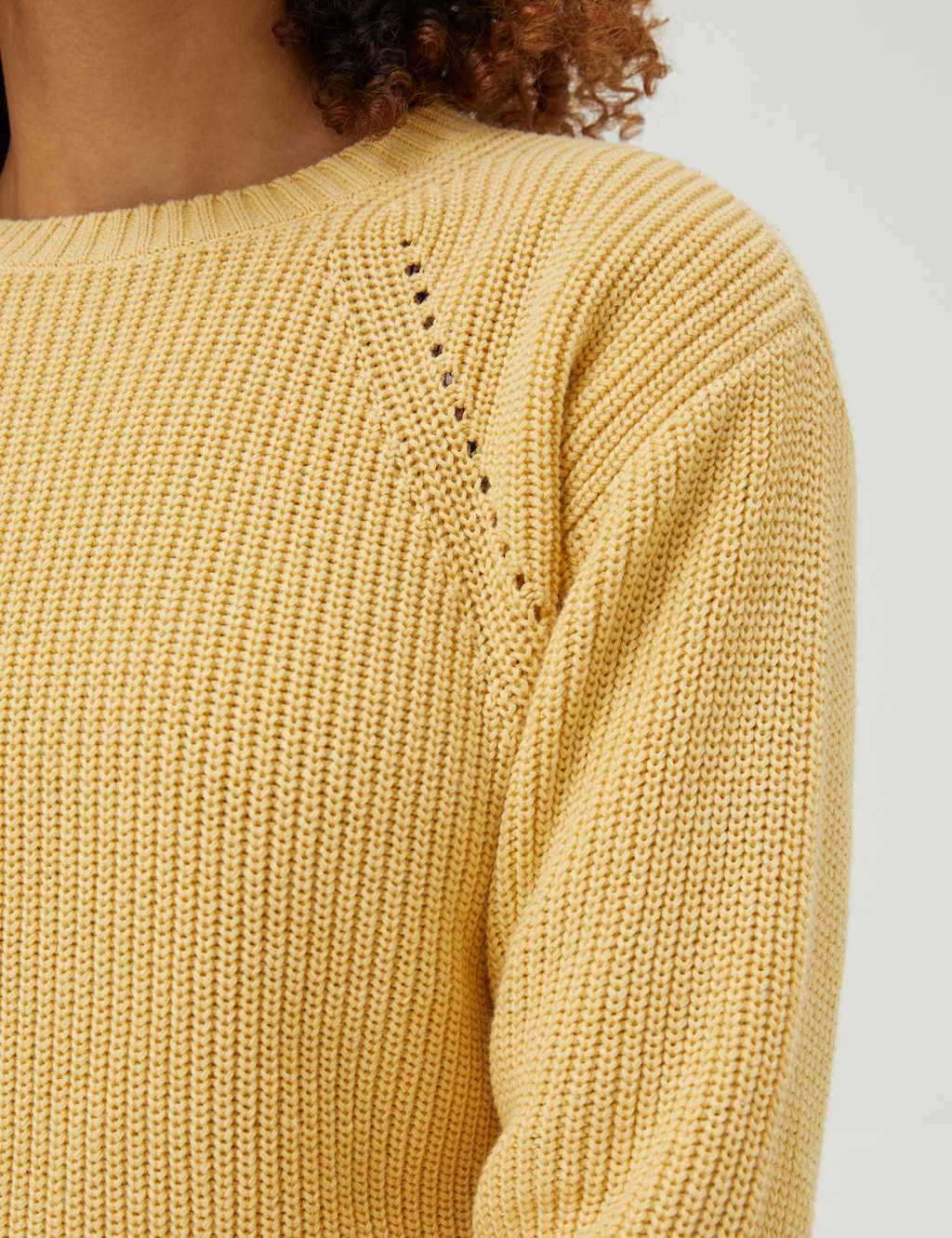 Pure Cotton Crew Neck Jumper image 5