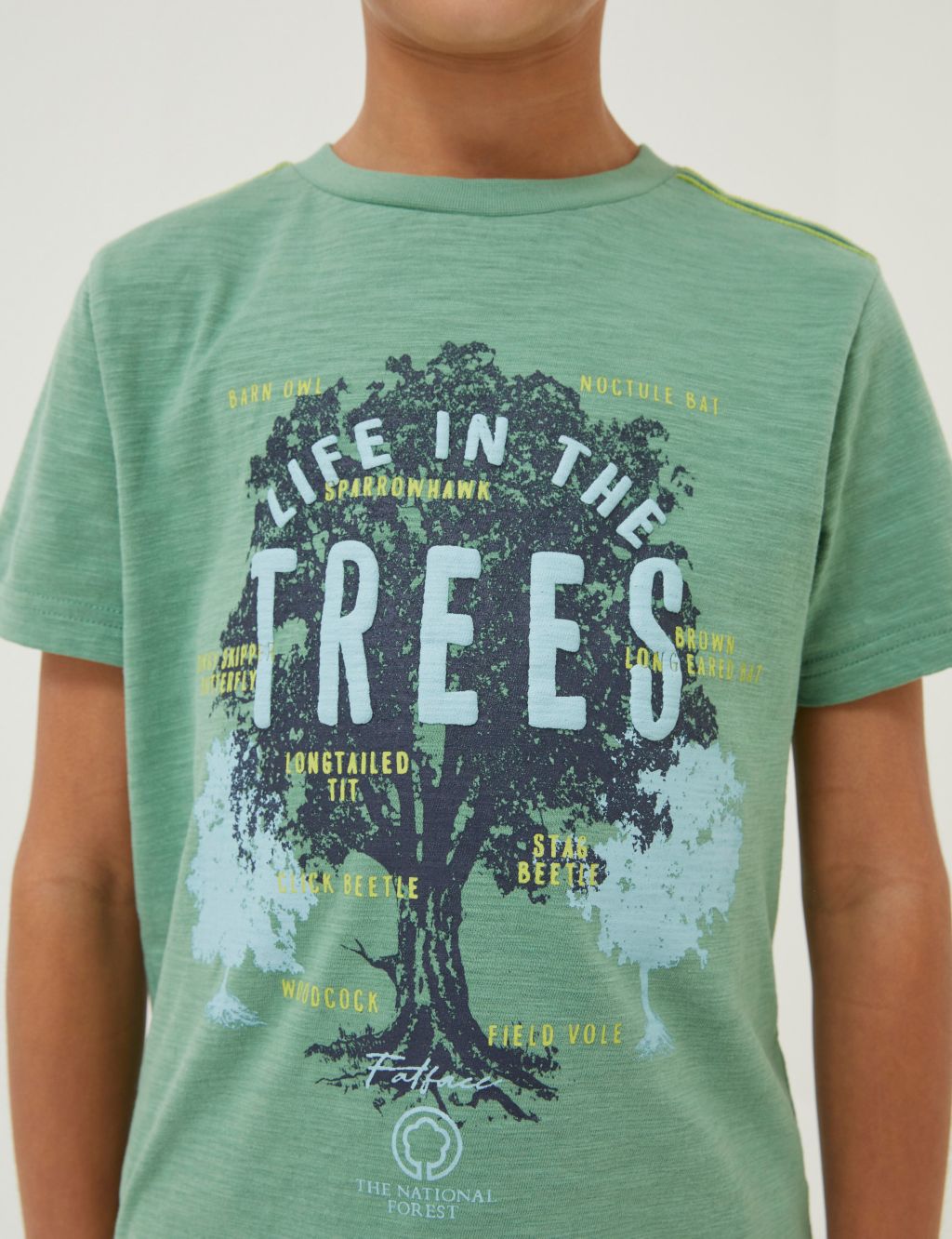 Pure Cotton Tree Graphic T-Shirt (3-13 Yrs) image 2