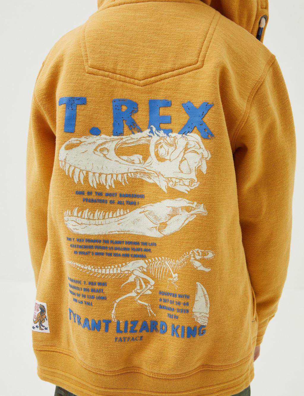 Cotton Rich T-Rex Zip Hoodie (3-13 Yrs) image 2