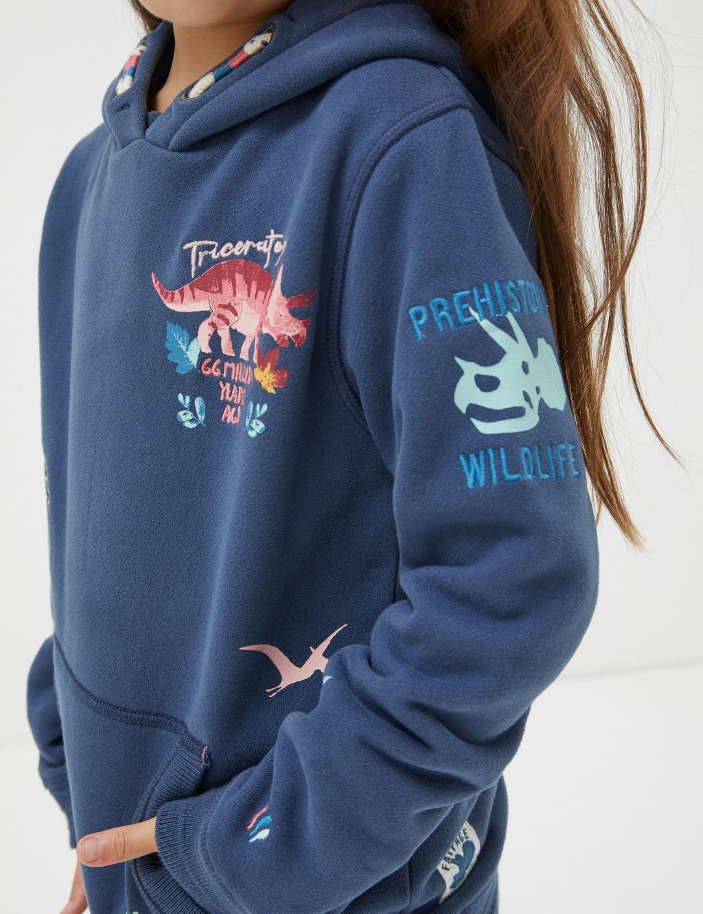 Cotton Rich Embroidered Dinosaur Hoodie (3-13 Yrs) image 4