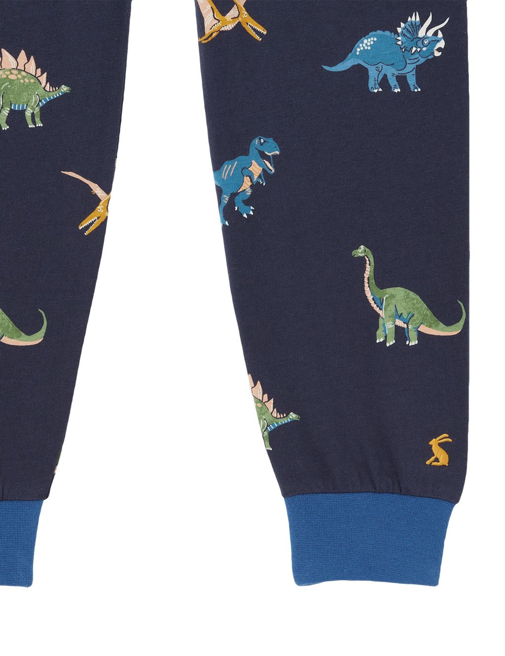Pure Cotton Dinosaur Pyjamas (2-12 Yrs) image 5