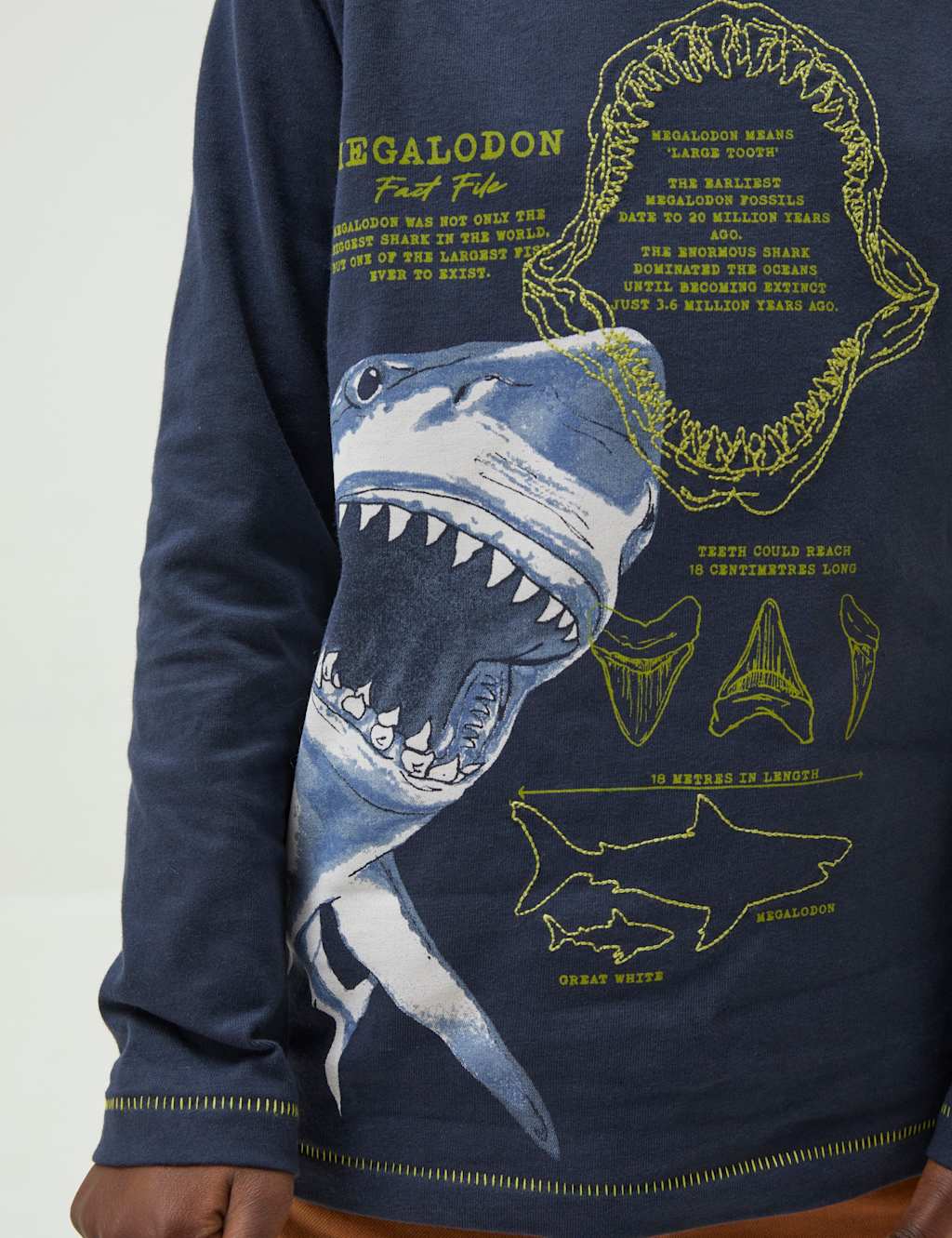 Pure Cotton Shark Graphic T-Shirt (3-13 Yrs) image 4