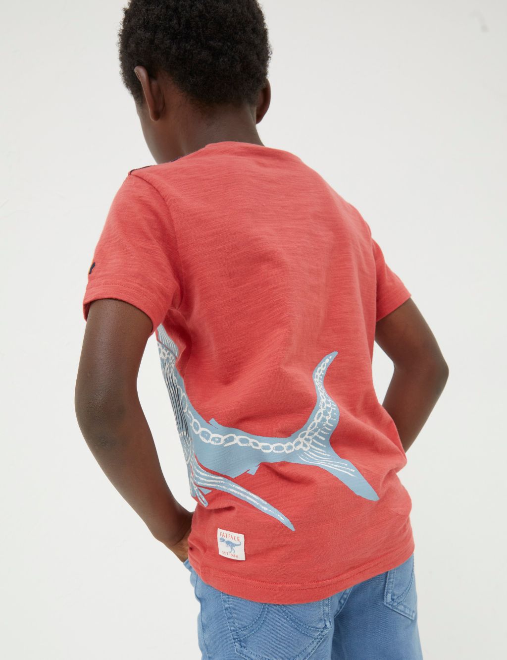 Pure Cotton Graphic T-Shirt (3-13 Yrs) image 3