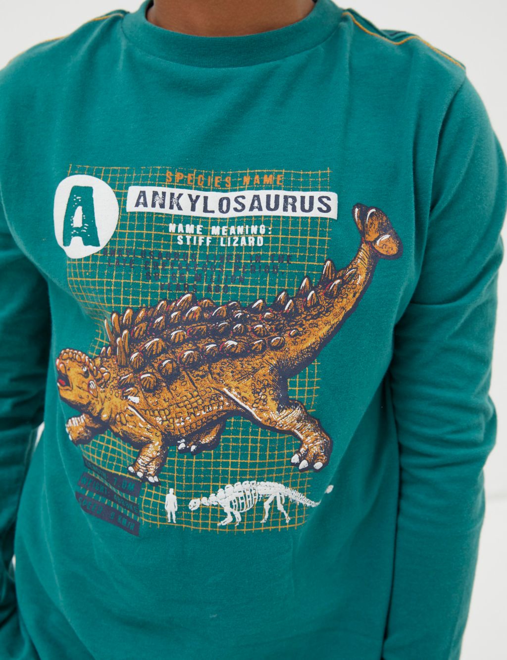 Pure Cotton Dinosaur Graphic T-Shirt (3-13 Yrs) image 4