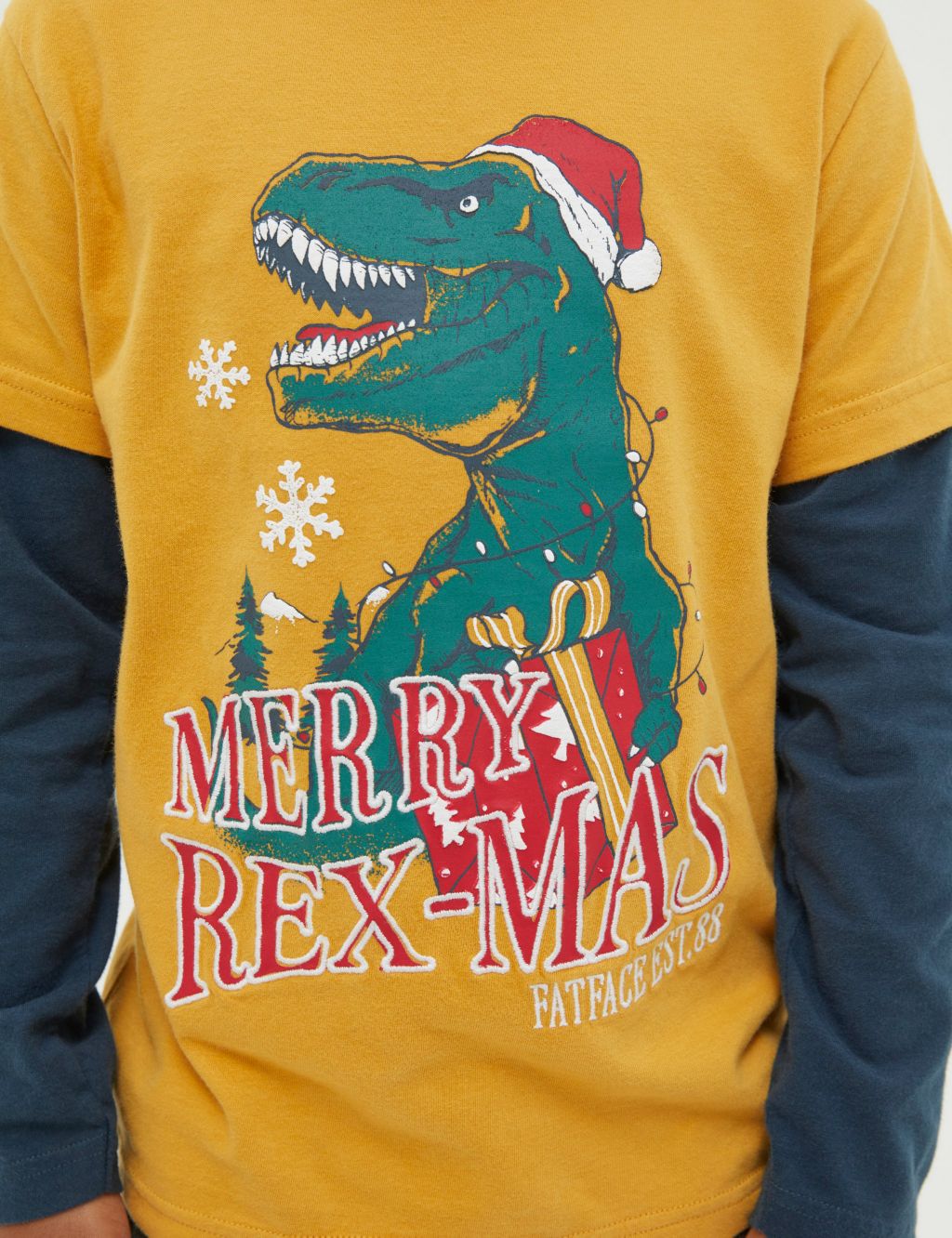 Pure Cotton Christmas Dinosaur T-Shirt (3-13 Yrs) image 5