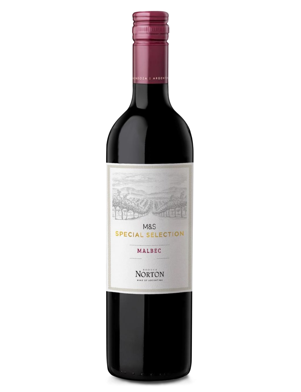 Norton Malbec - Case of 6