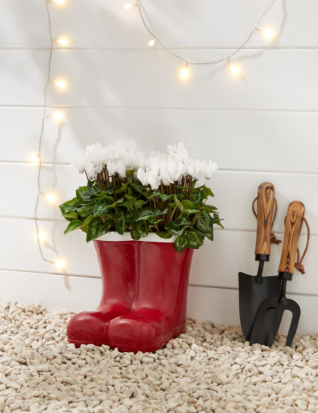 Santa's Flowering Boots Cyclamen Planter image 1
