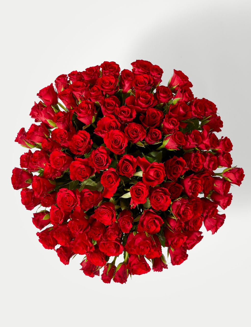 Valentine's 100 Red Roses Bouquet (Delivery from 09/02/24)