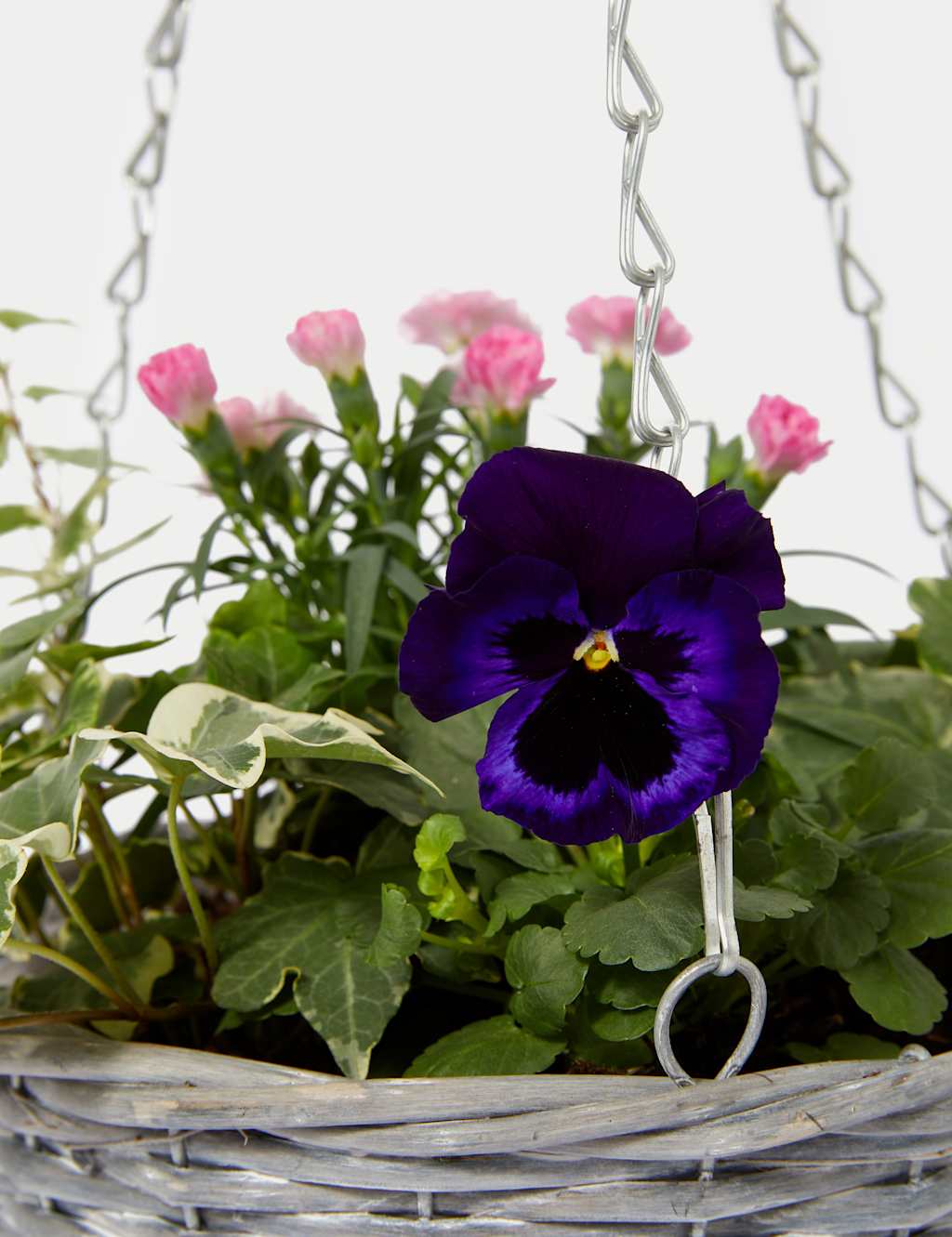 Spring Outdoor Hanging Basket image 2