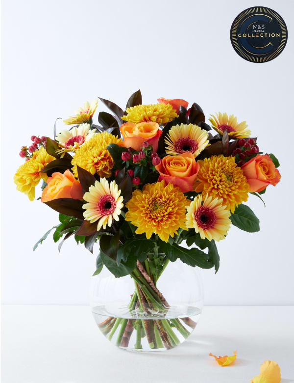 Flowers Plants I Plants Online I M S