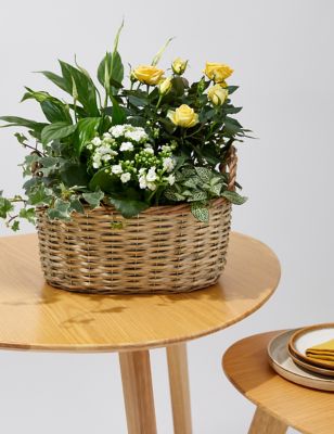 M&S Large Flowering Basket