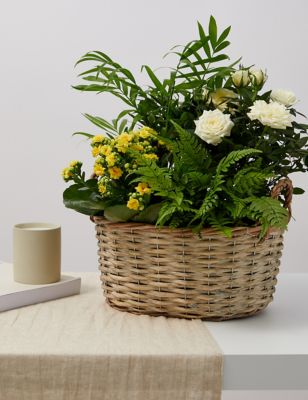 M&S Summer Flowering Basket image