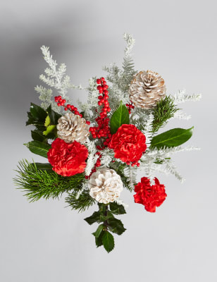m and s xmas flowers