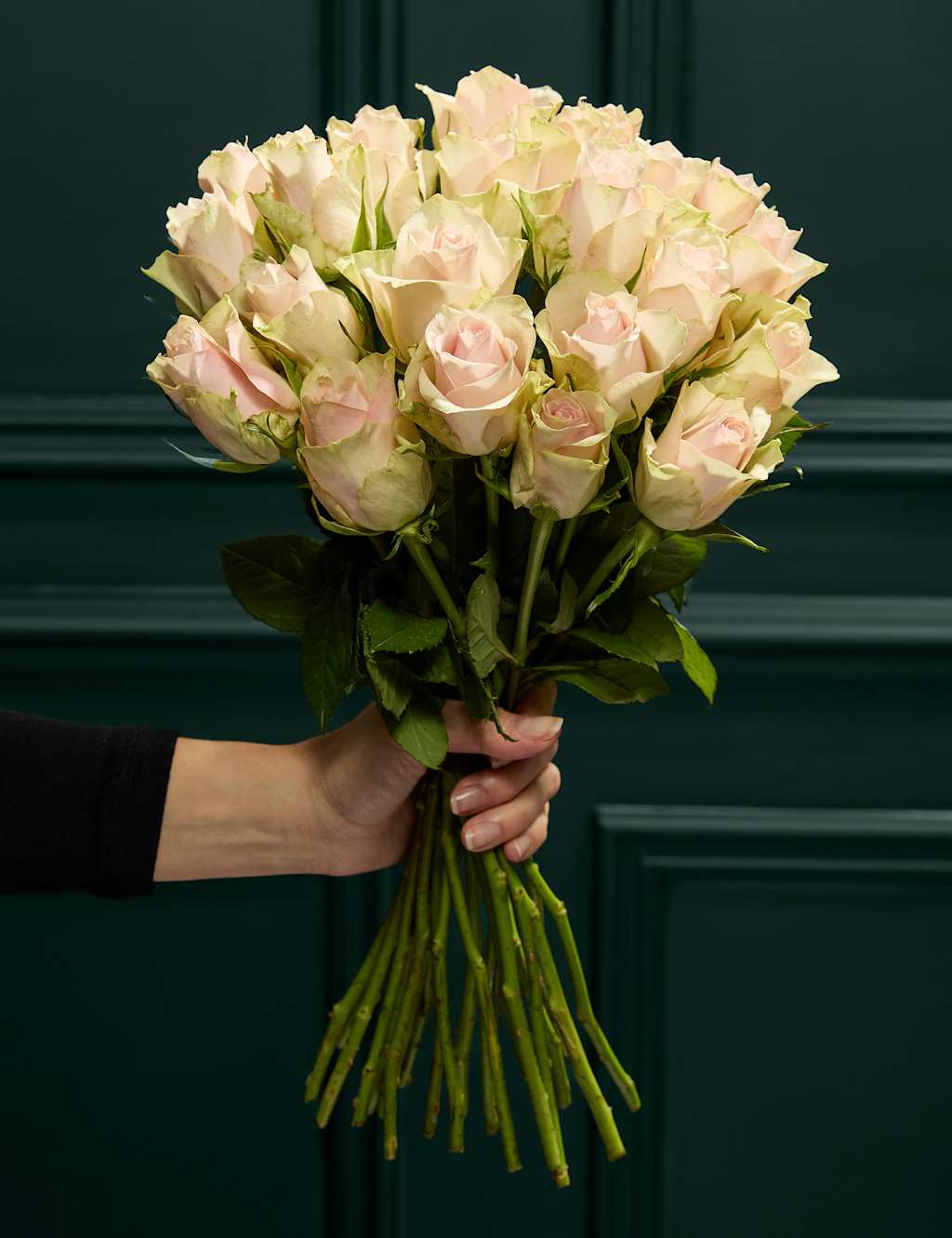 Same Day Flower Delivery Uk Marks And Spencer Best Flower Site