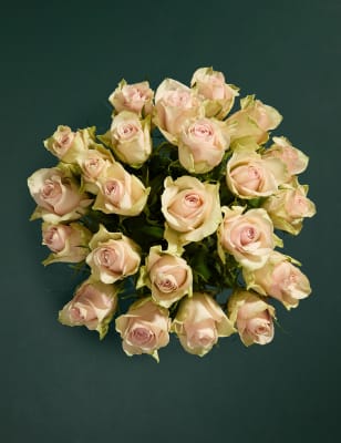 Blush Rose Abundance